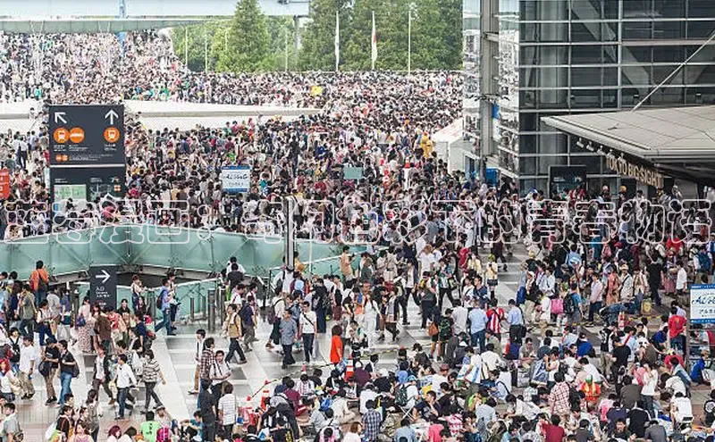 风车漫画app下载官方免费